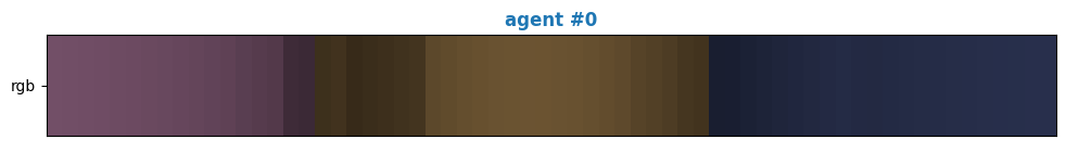 A visualization of the agent's viewpoint